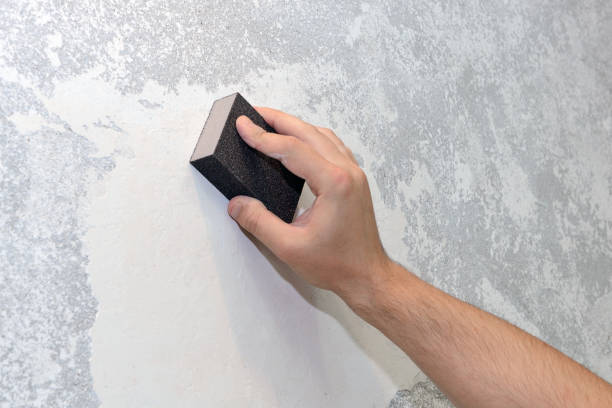 Best Basement Mold Removal  in Georgetown, OH