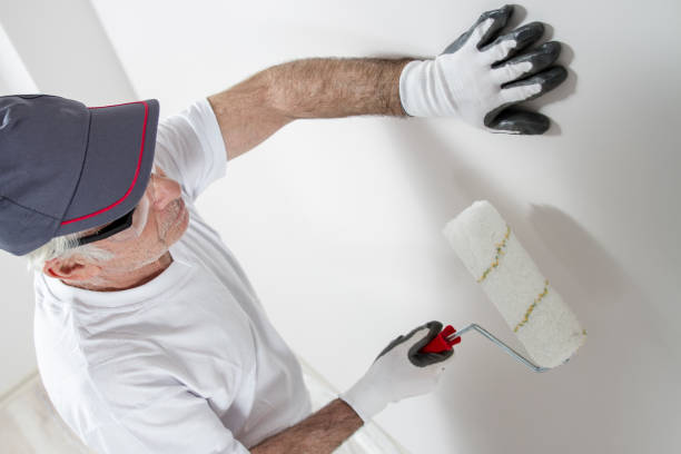 Best Mold Remediation for Vacation Homes  in Georgetown, OH