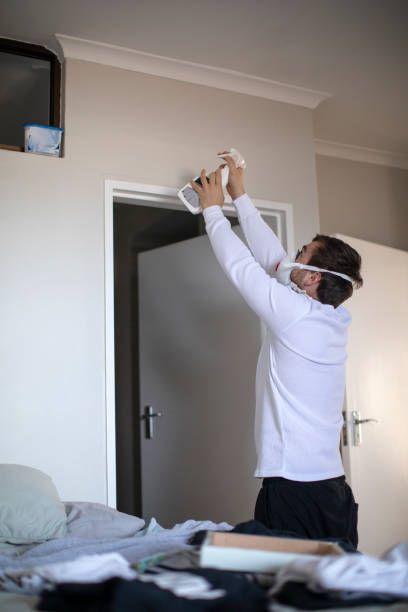 Best Real Estate Mold Inspection  in Georgetown, OH