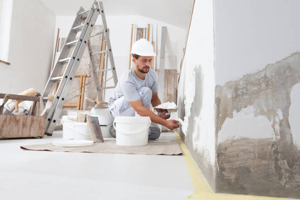 Best Emergency Mold Remediation  in Georgetown, OH