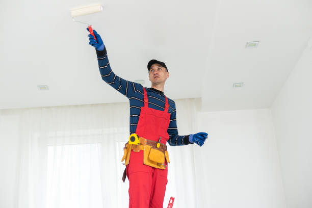 Best Attic Mold Removal  in Georgetown, OH