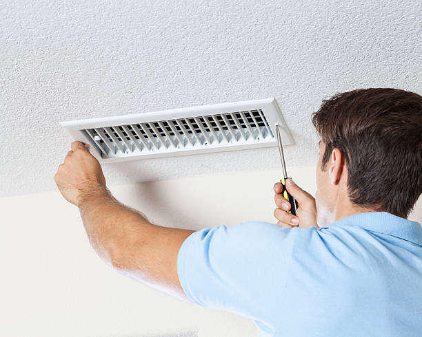 Best Water Damage & Mold Remediation  in Georgetown, OH